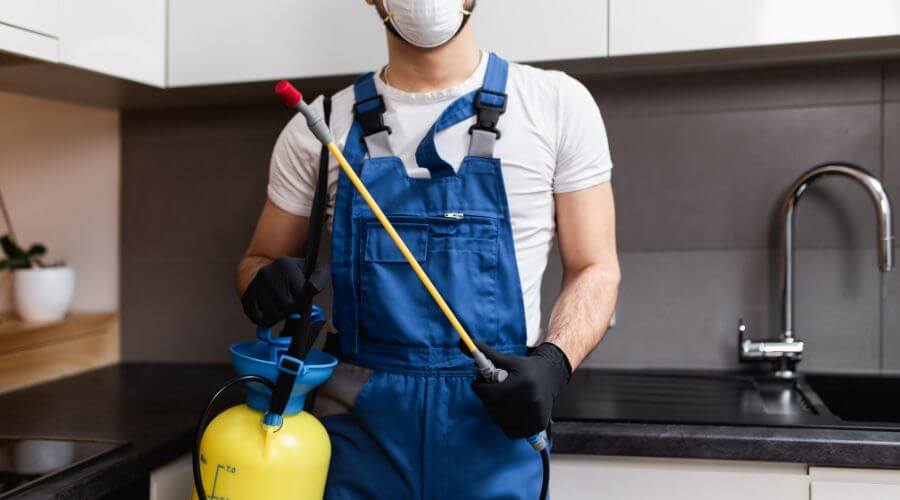 Why choose Restaurant Pest Control Emigrant for restaurant pest control in Emigrant